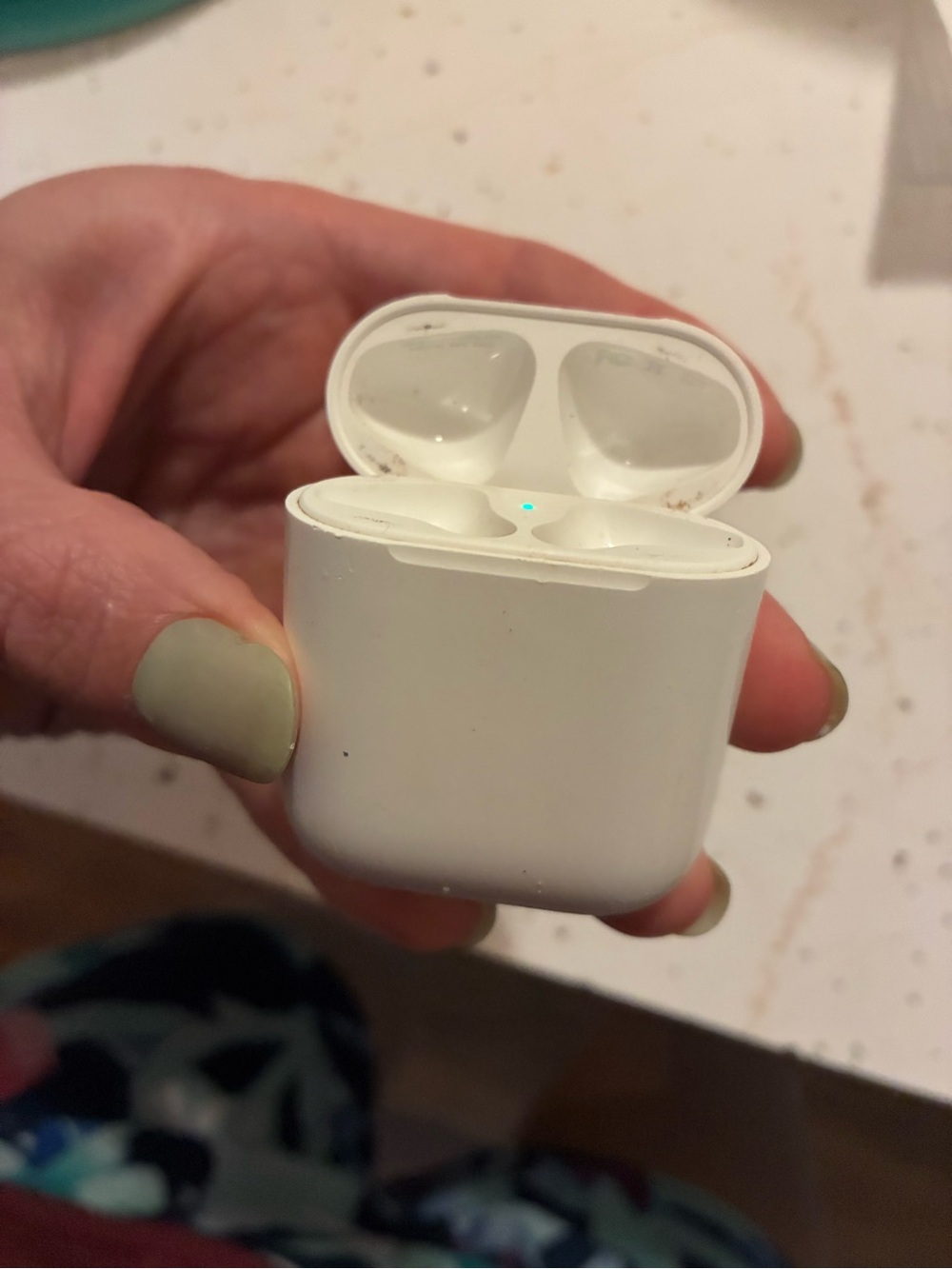 Apple White Earbud Headphones Charging Case
